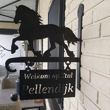 Luxe Gastenkamer Met Living En Keuken Bij Friezen Paarden Stal Pellendijk Westendorp Dış mekan fotoğraf