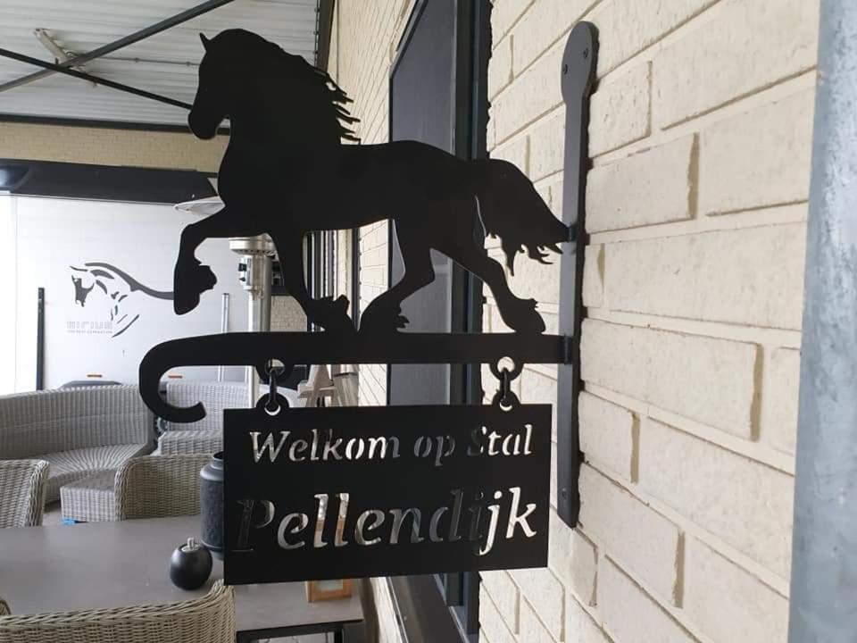 Luxe Gastenkamer Met Living En Keuken Bij Friezen Paarden Stal Pellendijk Westendorp Dış mekan fotoğraf