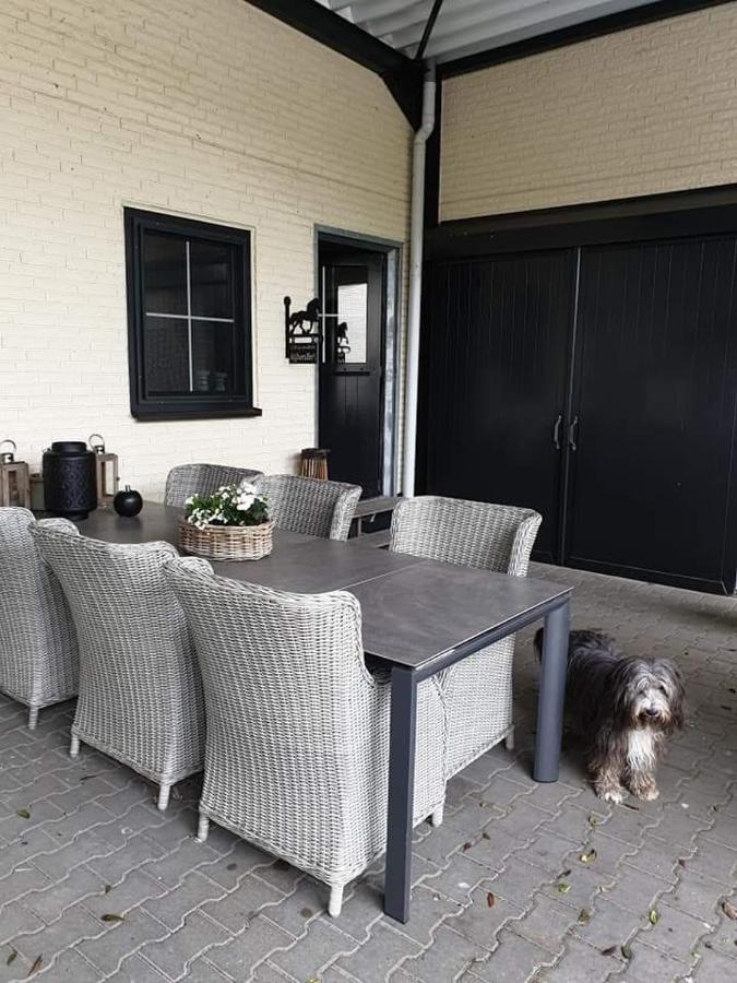 Luxe Gastenkamer Met Living En Keuken Bij Friezen Paarden Stal Pellendijk Westendorp Dış mekan fotoğraf