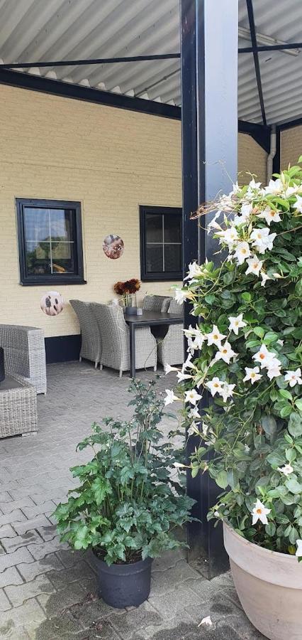 Luxe Gastenkamer Met Living En Keuken Bij Friezen Paarden Stal Pellendijk Westendorp Dış mekan fotoğraf