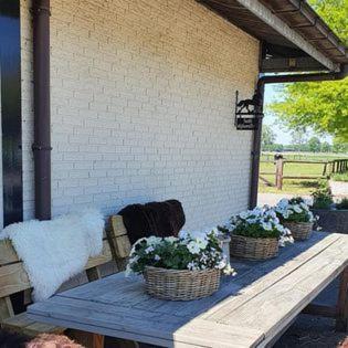 Luxe Gastenkamer Met Living En Keuken Bij Friezen Paarden Stal Pellendijk Westendorp Dış mekan fotoğraf